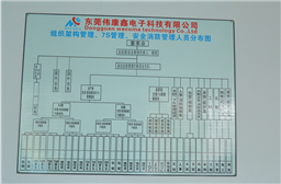 Organization Structure